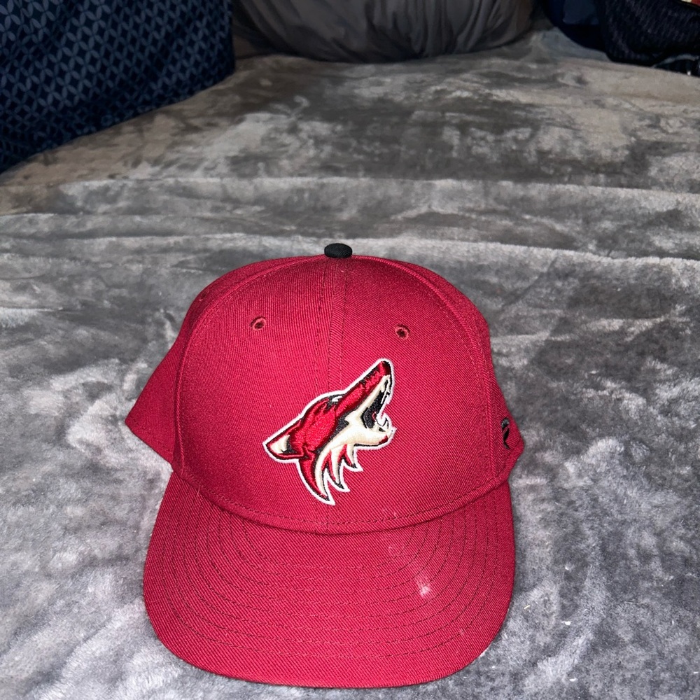 Arizona Coyotes 7 3/8 fitted hat